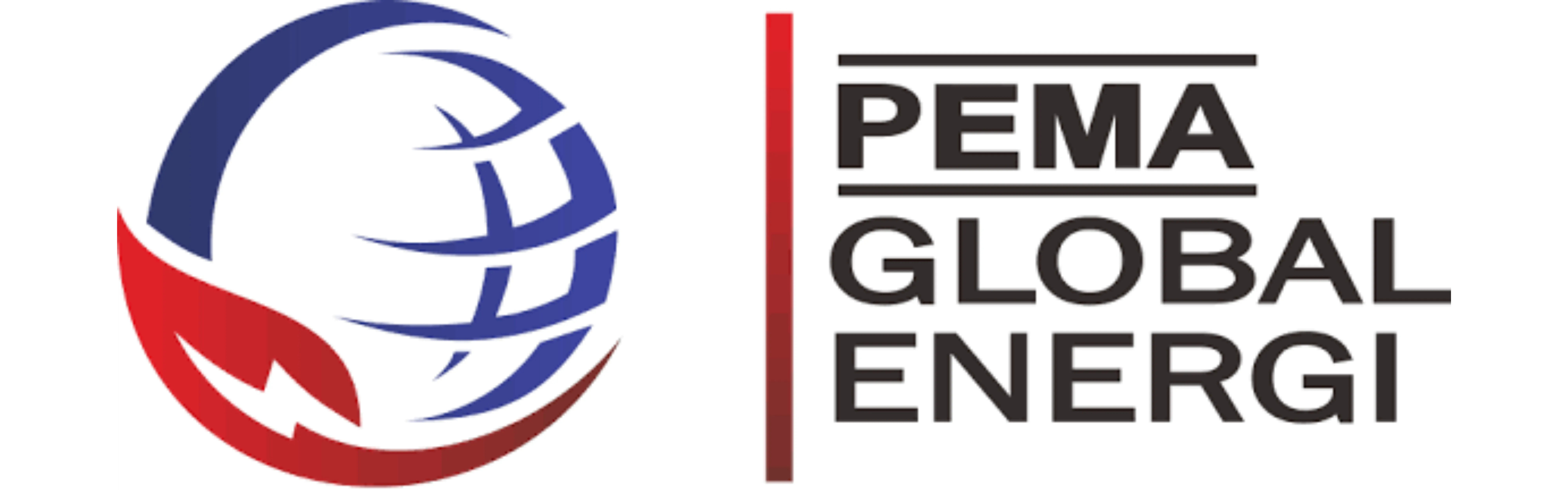 Partner PANI